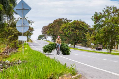 EL CERRITO, COLOMBIA - OCTOBER, 2020:  Man carrying green fodder on his bicycle on the road to El Cerrito in the Valle del Cauca region in Colombia clipart