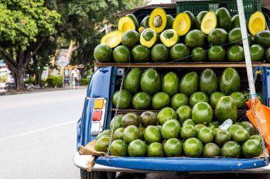 Kolombiya 'nın Valle del Cauca bölgesinde El Cerrito' da eski bir arabada avokado satışı.