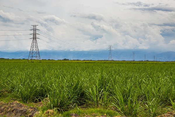 Stromnetz Und Zuckerrohrfeld Der Region Valle Del Cauca Kolumbien Stockfoto