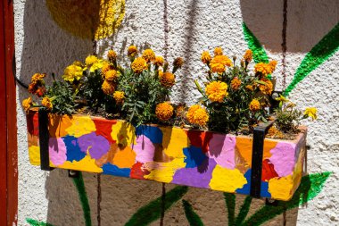 Raquira 'nın küçük bir kasabasında güzel bir seramik saksı. Saksılar şehri, Kolombiya