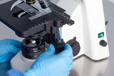 Genç kadın bilim adamı mikroskop altında örneklere bakıyor.