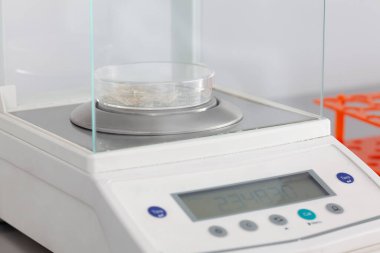 Laboratuarda bir analitik denge kullanarak bilim adamı