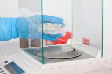 Laboratuarda bir analitik denge kullanarak bilim adamı