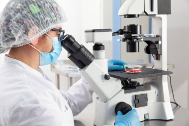 Genç kadın bilim adamı mikroskop altında örneklere bakıyor.