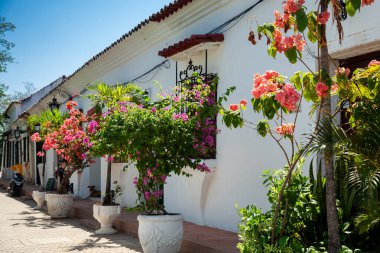 Kolombiya 'daki Santa Cruz de Mompox' un güzel sömürge sokakları.