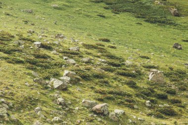 Rusya'nın Kafkasya Arkhyz dağlarında backpacking