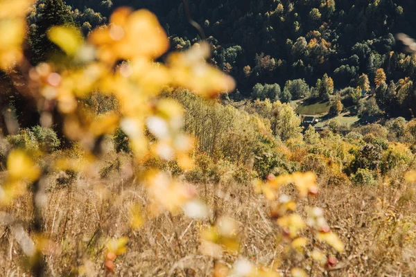 Panoramatický pohled na podzim v horách — Stock fotografie