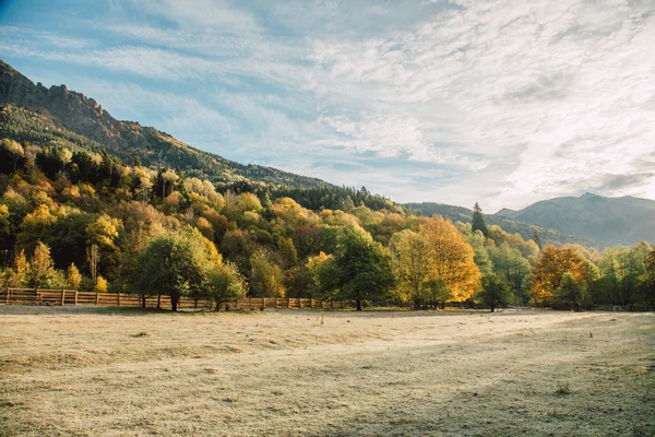 Podzim v horském údolí v časných ranních hodinách — Stock fotografie