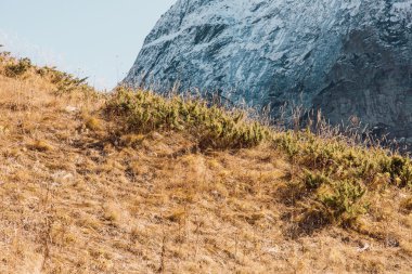 Sonbahar hills dağ güneş tarafından aydınlatılmış