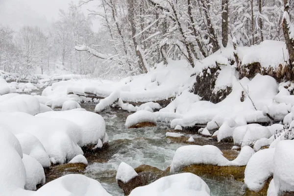 西コーカサス山脈、山には雪で寒い冬ストリーム — ストック写真