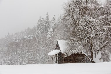 Sırasında bir kar yağışı, Batı Kafkasya dağlarında küçük kabin