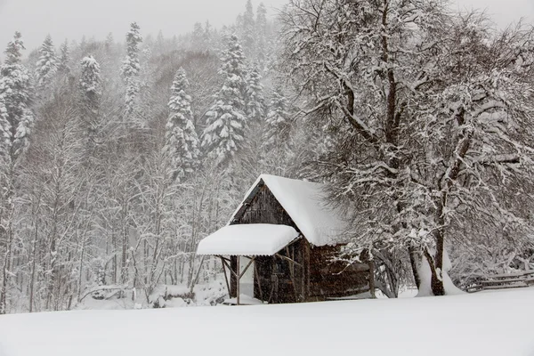 Small cabin in the mountains during a snowfall, Western Caucasus — Stock Photo, Image