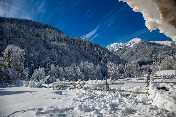 Güneşli gün Batı Kafkasya dağda kamp. — Stok fotoğraf