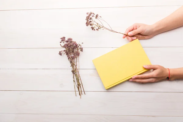 Female hands holding a closed yellow book