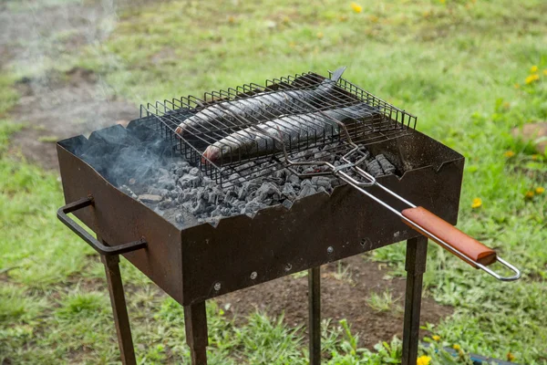 Fry the fish on the grill — Stock Photo, Image