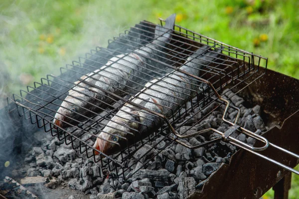 Fry the fish on the grill — Stock Photo, Image