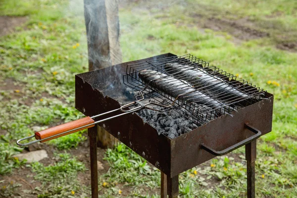 Fry the fish on the grill — Stock Photo, Image