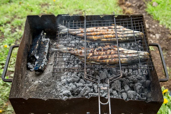 Freír el pescado en la parrilla — Foto de Stock