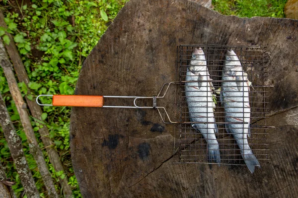 Il pesce in rete, barbecue — Foto Stock