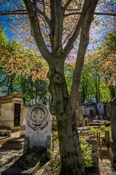 가을의 묘지에 있는 무덤 — 스톡 사진
