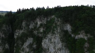 Stunning aerial drone footage of dramatic rocky cliffs rising above dense green forest. Perfect for themes of wilderness, geology, exploration, adventure travel, and untouched natural landscapes