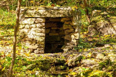 Ormandaki çalıların arasında terk edilmiş eski bir taş kuyusu. Yeşil bitkiler ve sarmaşık, Korfu Yunanistan. Yüksek kalite fotoğraf
