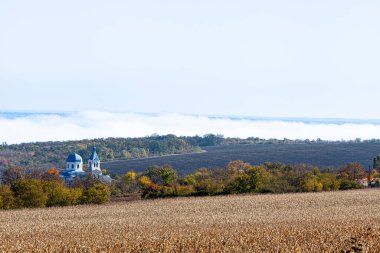 Sonbahar yapraklarıyla kaplı ağaçların arasından St. Sophia Katedrali 'nin güzel manzarası. Polotsk 'taki Zafer Parkı. Yüksek kalite fotoğraf