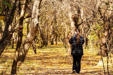 Koyu renk giyinmiş bir insan ormanlık bir alanda dolambaçlı bir toprak yolda yürüyor, yanında küçük bir köpek var, sakin bir günde doğanın tadını çıkarıyor. Yüksek kalite fotoğraf