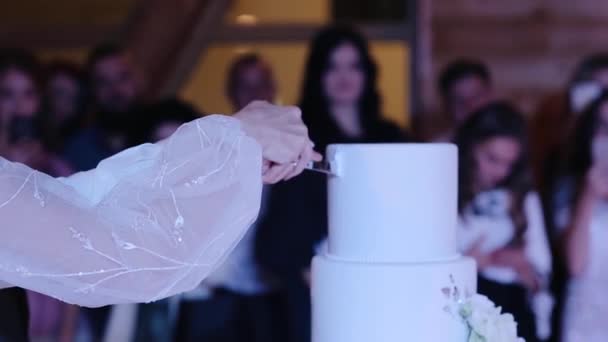Пара Закоханих Разом Вирізає Весільний Торт Руки Нареченого Нареченого Вирізати — стокове відео