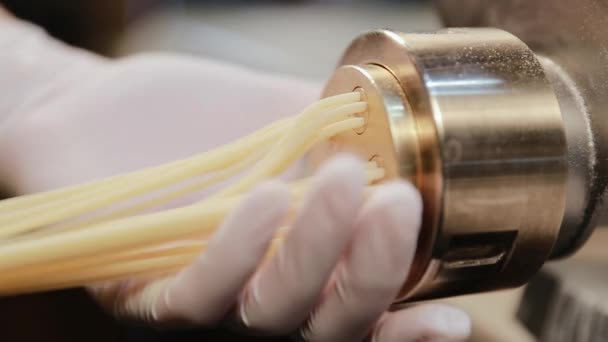 Traditionele Italiaanse Zelfgemaakte Pasta Wordt Gemaakt Machine Voor Het Snijden — Stockvideo