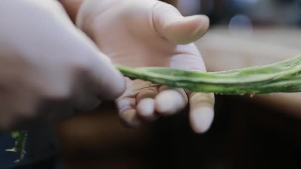 Séf Kezei Tésztavágó Gépet Használnak Friss Zöld Spagetti Tészta Spinatte — Stock videók
