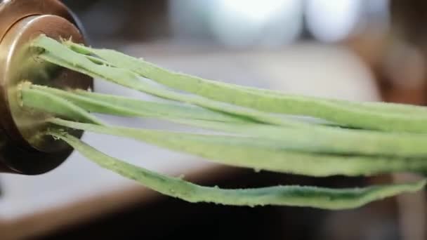 Friss Zöld Spagetti Tészta Spinatte Jön Tészta Gép Közelről Hagyományos — Stock videók