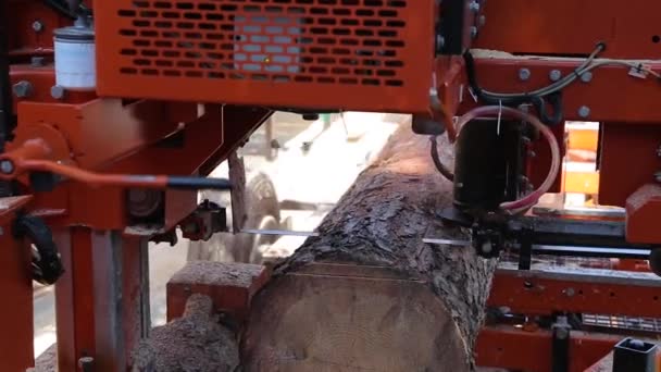 Carpenter using electric saw for sawing boards. Sawmill lumber production tree trunk being cut into planks wood raw material for industry. — Stock Video