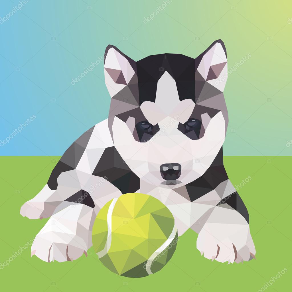 polygon dog  Husky playing