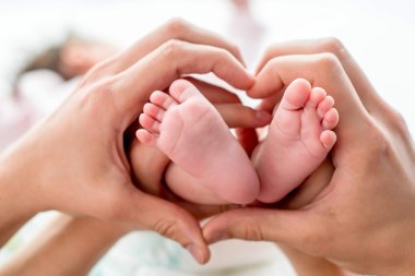 newborn baby feet on mom and dad hands, shape like a lovely heart. happy family concept clipart