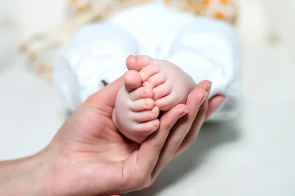 Mãe segurando os pés do bebê em um fundo branco — Fotografia de Stock