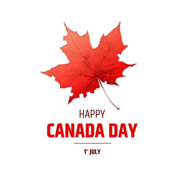 Mutlu Kanada Günü posteri. Kanada bayrağı. Beyaz arkaplanda vektör illüstrasyonu. Metin ve gerçekçi akçaağaç yaprağı içeren tebrik kartı - ülkenin ulusal sembolü. 