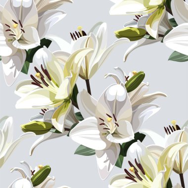 Lily 'nin Beyaz Çiçekleri (Madonna Lily). Işık arkaplanındaki kusursuz çiçek deseni.