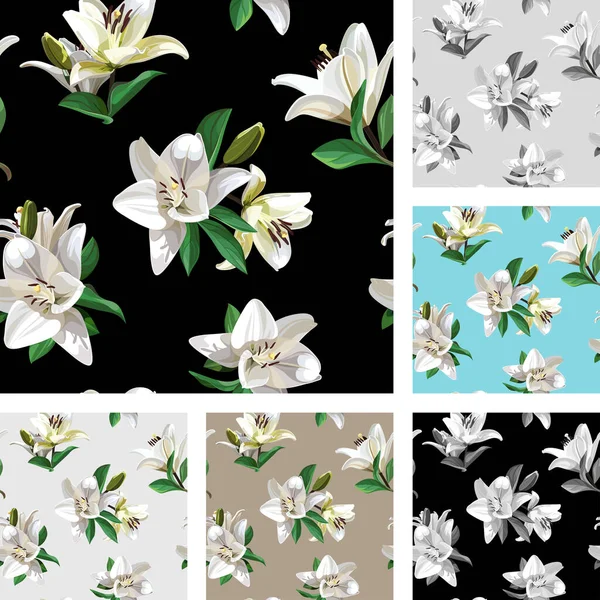 Weiße Lilienblüten Madonna Lily Set Mit Nahtlosen Blumenmustern Auf Hellem — Stockvektor