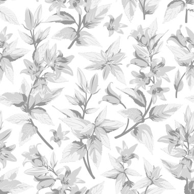 Gri Campanula 'lı kusursuz desen. Çiçekler, beyaz arka planda izole. El çizimi çizimler.