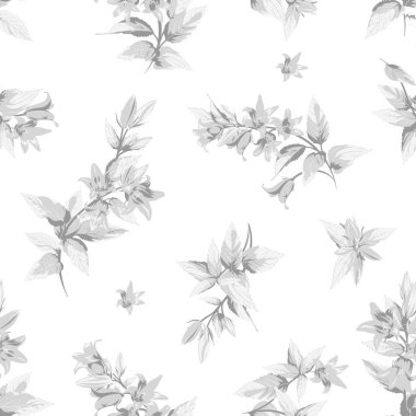 Gri Campanula 'lı kusursuz desen. Çiçekler, beyaz arka planda izole. El çizimi çizimler.