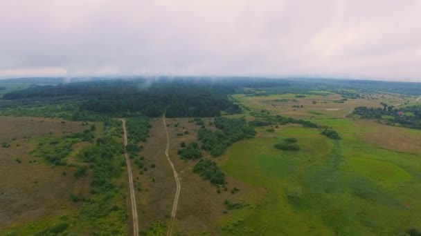 Volando sobre el campo — Vídeos de Stock