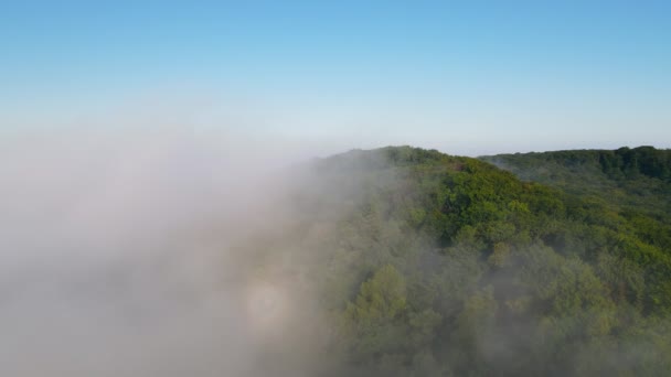 Mattina favolosa nebbia che copre le montagne. Piano aereo Veduta di alberi verdi ricoperti di fitta nebbia — Video Stock
