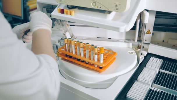 Asistente de laboratorio coloca las muestras en tubos de ensayo en el aparato para el análisis bioquímico de la sangre. Trabajo en el laboratorio de investigación de la sangre — Vídeos de Stock