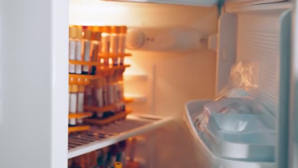 Buzdolabında saklanmış numune örnekleriyle test tüpleri.. — Stok video
