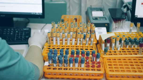 De nombreuses éprouvettes médicales avec des tests sanguins sur la table en laboratoire. Le professionnel de santé imprime et signe les étiquettes des éprouvettes — Video