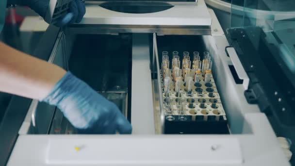 Een laboratoriummedewerker installeert bloedreageerbuisjes in een biochemisch en bloedtestapparaat. Bloedonderzoek en laboratoriumtests — Stockvideo