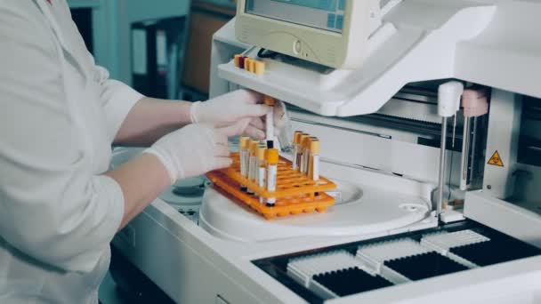 미생물학자들은 실험실에서 연구를 사회 한다. 연구원은 생화학적 분석 테스트를 실시 한다. 한 실험실 근로자가 생화학 및 혈액 실험 기구에 혈액 검사 튜브를 설치하는 모습 — 비디오