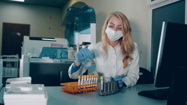 Exames de sangue no laboratório. O técnico do laboratório examina os tubos sanguíneos e verifica o código de barras e o número de série dos testes bioquímicos no laboratório. Desenvolvedores de medicamentos potenciais e — Vídeo de Stock