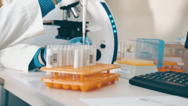 Onderzoeker die werkt in een laboratorium met een microscoop gebruikt een laboratoriumpipet om bloed te testen in reageerbuizen. — Stockvideo